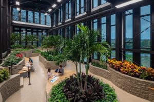 Photo-indoor conservatory with students studying