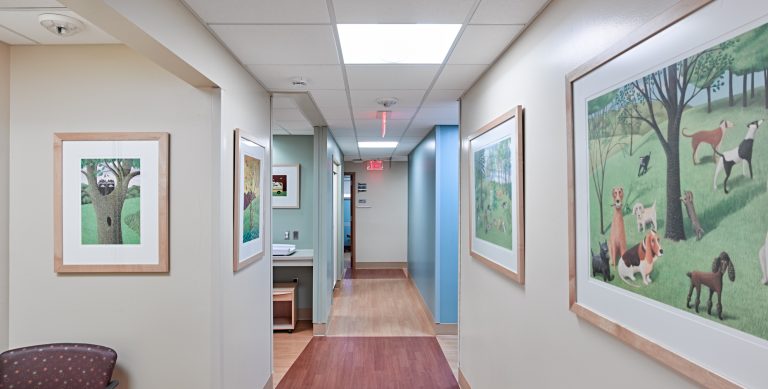 A brightly lit hallway with framed pictures of animals, including dogs and a sloth, hanging on both walls. Wood-paneled flooring transitions to carpet near the center. Pastel colors dominate the decor. A red "Exit" sign is visible at the far end of the hallway.