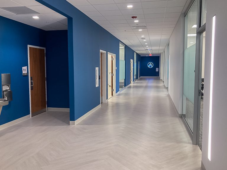 A modern, well-lit corridor with blue and white walls, light wood flooring, and several wooden doors on both sides.