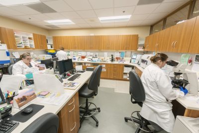 A brightly lit laboratory with three scientists in white lab coats engaged in various tasks. One uses a microscope, another works at a computer, and the third stands near shelves with supplies. The lab is organized, with wooden cabinets and multiple workstations.