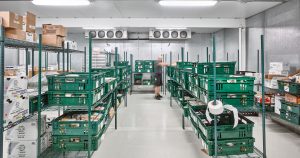 A worker is moving between rows of green plastic crates filled with produce in a large, well-organized warehouse storage room. Shelving units are lined with boxes, and large refrigeration units are mounted on the back wall.