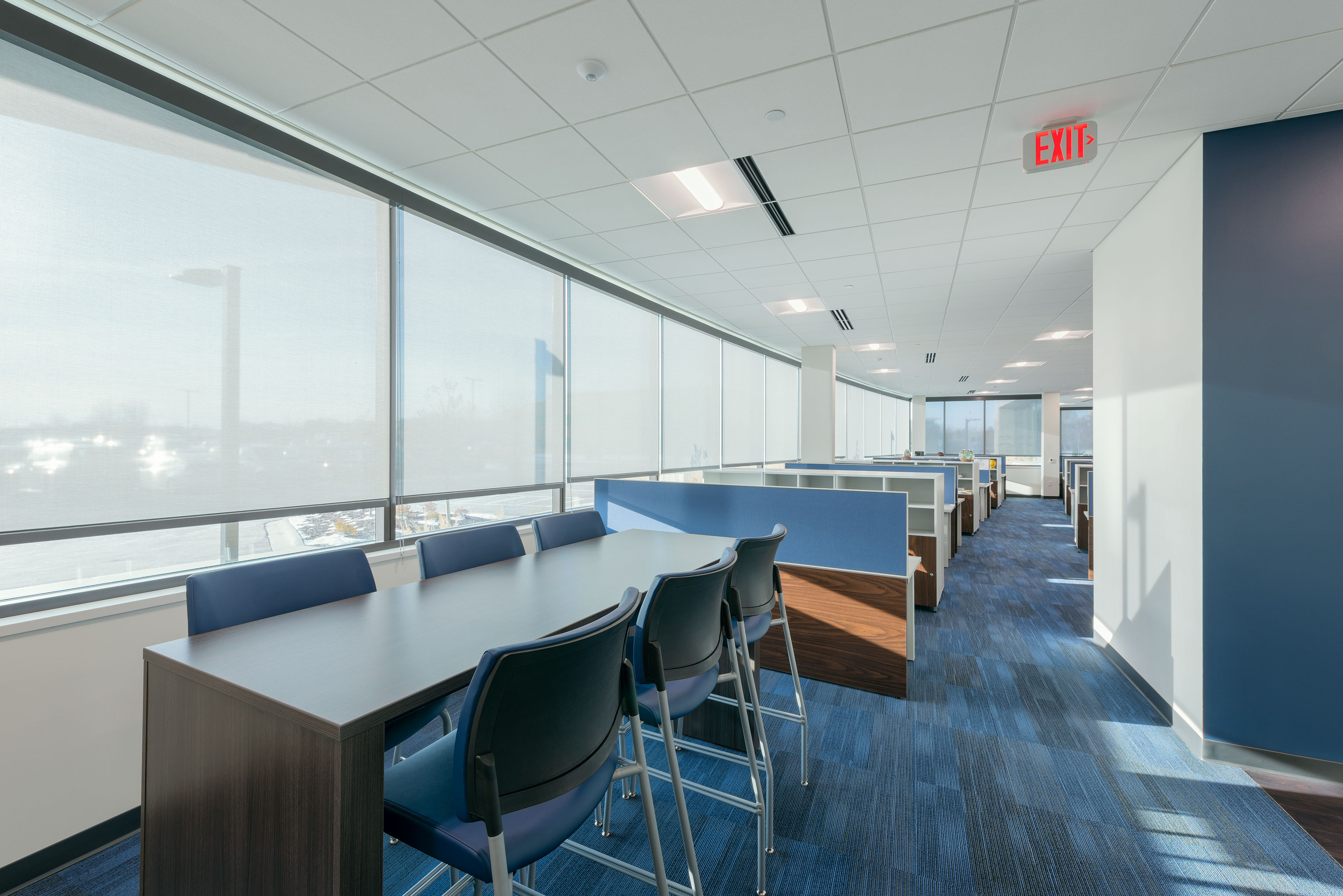 A modern office space with blue carpet and white ceilings features long tables with chairs for collaborative work, and individual cubicles along the side. Large windows allow natural light to flood in, offering a bright and open atmosphere. An exit sign is visible.