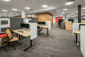 A modern open office space with multiple workstations separated by partitions. Each workstation has a computer, chair, and desk. The area is brightly lit with overhead lights, and the decor features wood accents and a carpeted floor.