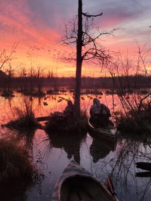 Two hunters in camouflage sit in canoes at the edge of a marsh at dawn, waiting near a stand of duck decoys on the water. A vivid pink and orange sunrise fills the sky and reflects across the still water.