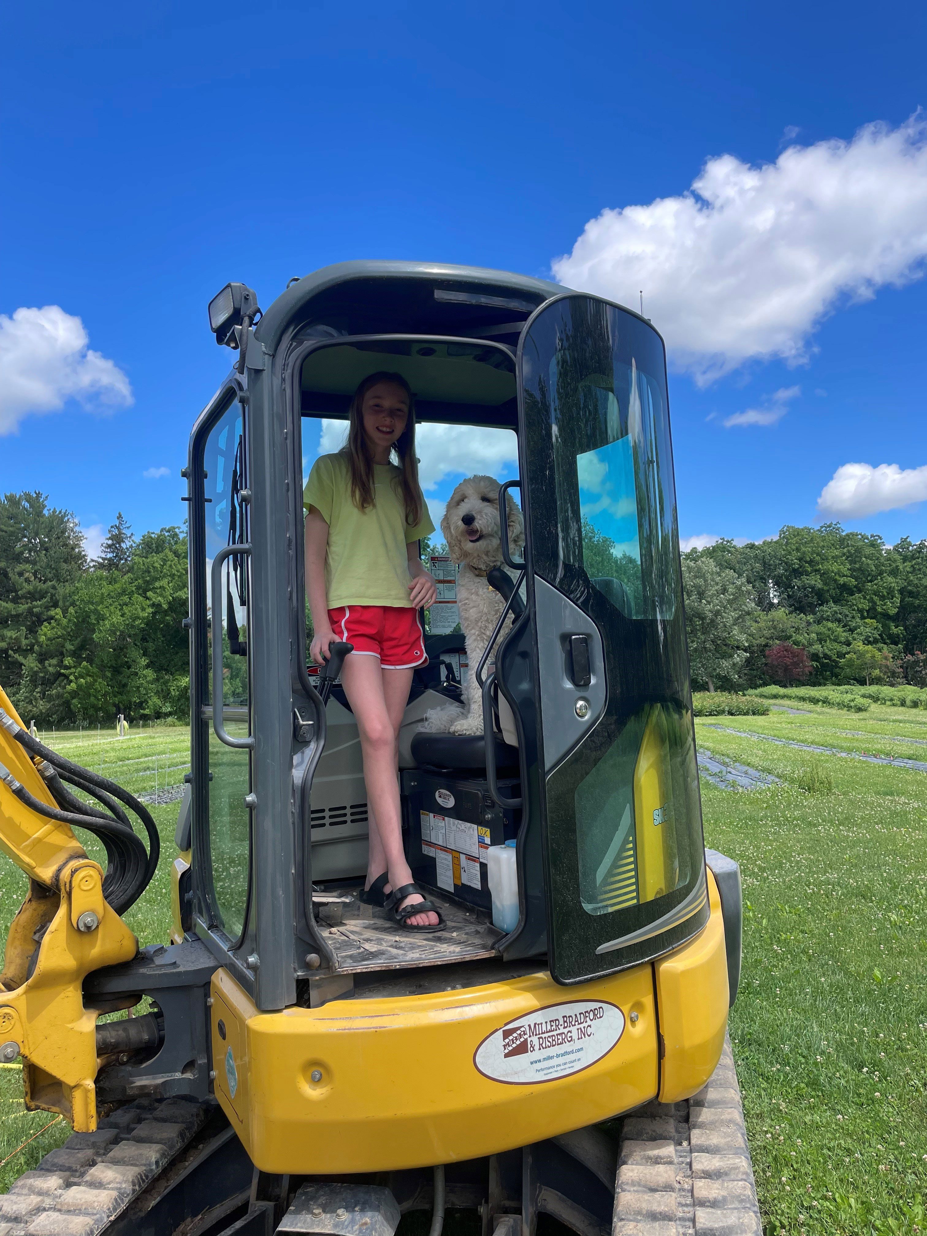 photo of girl and dog in a yellow mini excavator